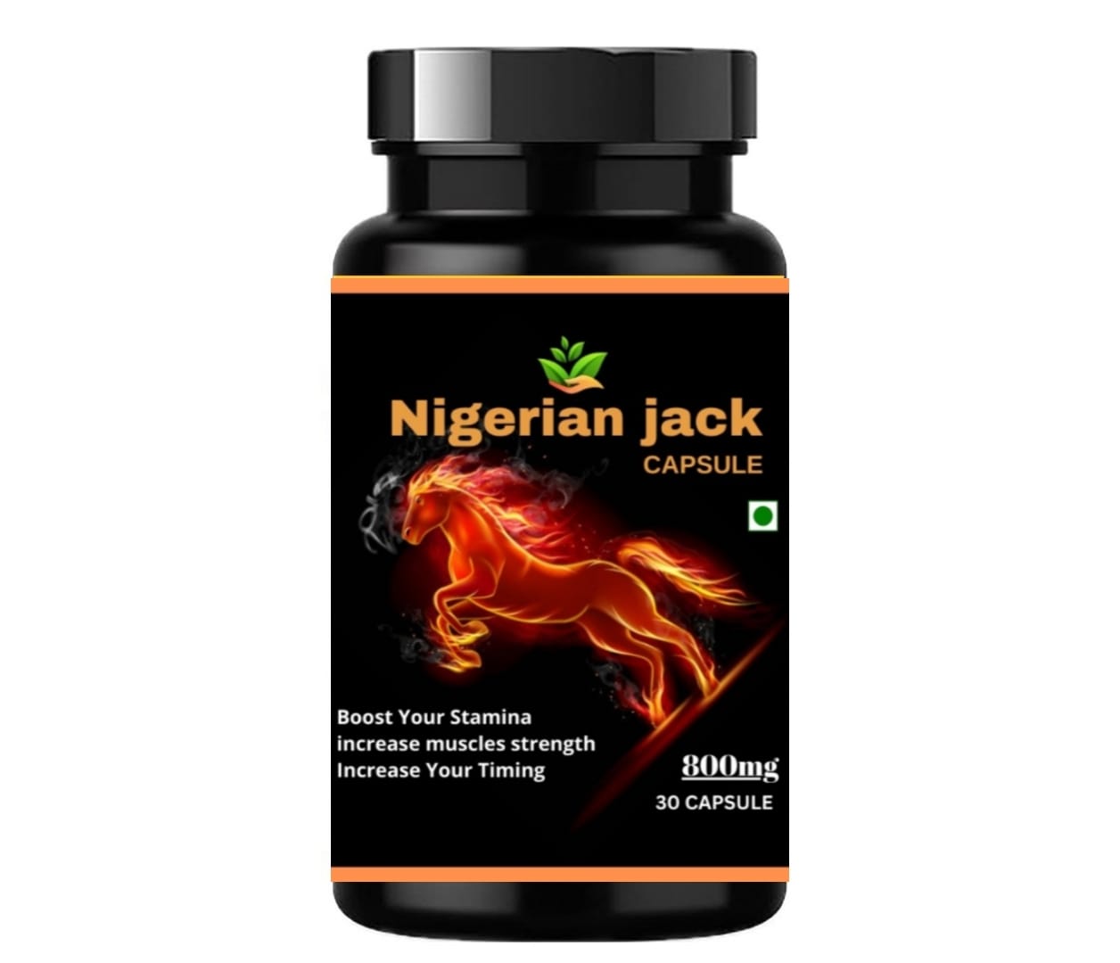 WhatsApp Image 2026-02-09 at 11.28.21 AM1